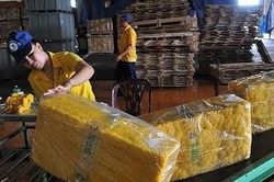 Cao su Việt Nam tăng thị phần tại Hàn Quốc