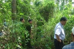 Tội ác giữa cánh rừng