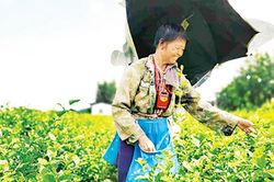 Hoa lài kỹ thuật số