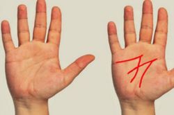 Đàn ông có 5 tướng tay này cuộc sống không lúc nào thiếu tiền