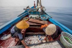 Phát động Cuộc thi thử thách đổi mới sáng tạo Nghề cá