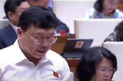 Ngành nông nghiệp rơi vào 'mê hồn trận' phân bón, thuốc bảo vệ thực vật