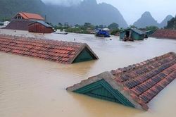 Xin lỗi Quảng Bình