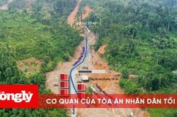 Đánh giá nguyên nhân sạt lở ở Trà Leng