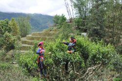 Hà Giang: Nhiều cách làm sáng tạo