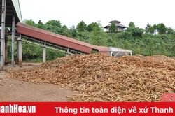 Nhà máy chế biến tinh bột sắn Phúc Thịnh phấn đấu giá trị xuất khẩu đạt 15 triệu USD