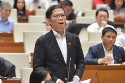 Không bổ sung dự án thủy điện sử dụng đất rừng tự nhiên