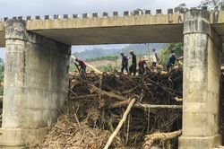 Hàng trăm khối gỗ khai thác trái phép chèn kín, 'đe dọa' cầu Nước Bua