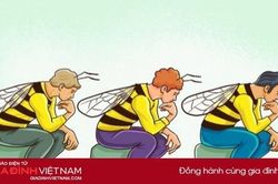 Khi đối mặt với khó khăn hãy suy nghĩ như một con ong