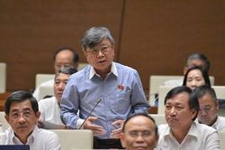 Đại biểu Quốc hội đề nghị làm rõ diện tích các loại rừng