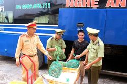 Quảng Ninh: Phát hiện 200kg cua lông không rõ nguồn gốc
