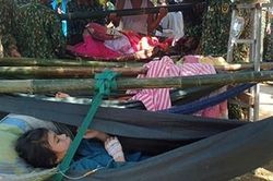 Giữa cơn thịnh nộ của núi rừng