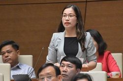 Tranh luận tại Quốc hội: 'Tôi chịu trách nhiệm về lời nói của mình'