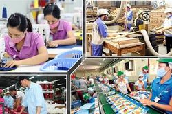 Thanh tra 263 doanh nghiệp giao dịch liên kết, truy thu hơn 525 tỷ đồng