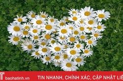 Mỗi ngày có 1440 phút, nghĩa là chúng ta có 1440 cơ hội để sống tích cực hơn