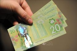 Đồng nội tệ của Canada xác lập mức cao kỷ lục trong 2 tháng so với USD