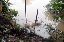 Thi thể không mặc quần áo trương phình dưới sông Bảo Định
