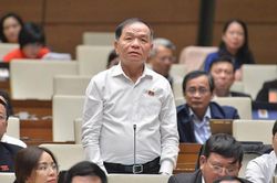 ĐBQH tranh luận nảy lửa quanh quyết định cách chức hiệu trưởng ĐH Tôn Đức Thắng