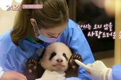 YG hủy chiếu show sau khi BlackPink bị chỉ trích