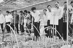 Phát triển các sản phẩm chủ lực từ nguồn gien quý, hiếm