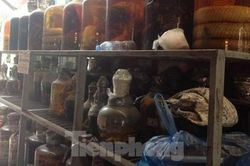 WHO khuyến cáo điểm 'nóng' bùng phát dịch bệnh từ động vật sang người