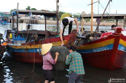 Ngư dân Nghệ An trúng đậm 'lộc biển' sau mưa bão