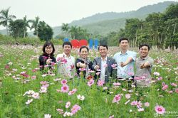 Quy hoạch bài bản, đảm bảo phát triển bền vững cho du lịch canh nông ở Nghệ An