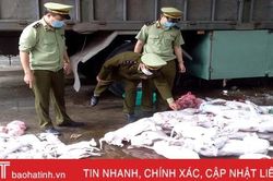 Xe tải chở gần 420kg thịt chó, thịt mèo không rõ nguồn gốc bị bắt tại Hà Tĩnh