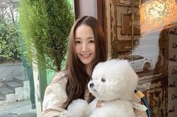 Sau khi bị chê gương mặt khác lạ khó nhận ra Park Min Young tái xuất xinh đẹp khiến ai cũng sững sờ