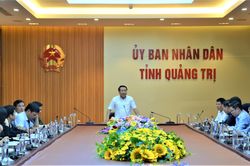 Tạo thuận lợi và hỗ trợ Tổng công ty Lâm nghiệp Việt Nam - CTCP trong các vấn đề doanh nghiệp quan tâm