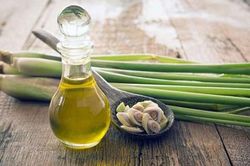 Đuổi muỗi bằng nguyên liệu phổ biến