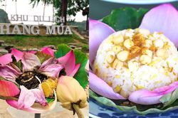 Sen Hang Múa (Ninh Bình) không chỉ đẹp mà còn gây sốt với trà, ẩm thực giữa trời Đông