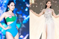 Thí sinh đạt 10 huy chương bơi lội, đỗ 3 trường ĐH tại Mỹ vào chung kết HHVN 2020