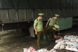 Chặn đứng hơn 4 tạ thịt chó, mèo bốc mùi hôi thối trên đường tiêu thụ