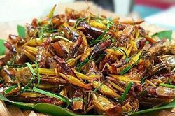 Độc đáo ẩm thực Sơn La
