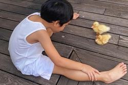 Bất ngờ với vóc dáng của cậu nhóc nhà Tăng Thanh Hà, mới 5 tuổi mà đã phổng phao, đáng yêu thế này