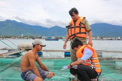 Khánh Hòa chạy đua ứng phó trước giờ 'cuồng phong' số 12 đổ bộ