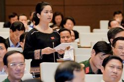 ĐBQH nói cây cao su thải CO2 là thiếu khoa học nhưng gióng lên tiếng chuông báo động về rừng