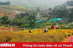 Du lịch Thường Xuân: Điểm đến giàu tiềm năng