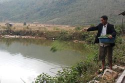 Hội Cựu chiến binh quản lý hiệu quả vốn vay ủy thác
