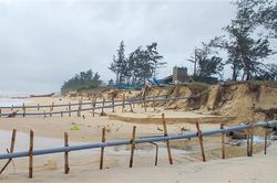 Triệu Phong: Trên 9 km bờ biển bị sạt lở nghiêm trọng