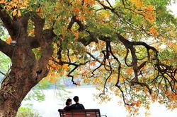 Nhạc sĩ Phú Quang: Những bản tình ca về Hà Nội