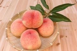 Đào mật, loại quả được phong là 'vua vitamin C' cực tốt cho sức khỏe