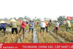 Người dân Thạch Liên phá bỏ ô thửa nhỏ, hình thành cánh đồng lớn trong vụ xuân 2021