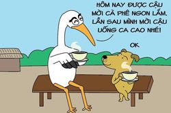 Méo mặt khi được mời uống ca cao
