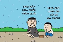 Vì sao thầy bói thích trời mưa?