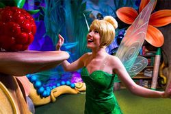 Có thể bạn từng đến Disney World, nhưng những bí mật này thì chưa chắc bạn đã biết!