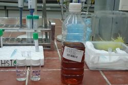 Người đàn ông tử vong do uống rượu giả