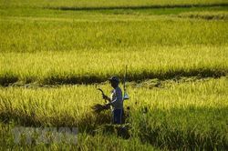 Chính phủ Indonesia tin tưởng RCEP được ký kết trong năm nay