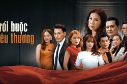 Lịch chiếu phim VTV hôm nay 11/11